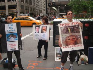 WAR-FAUN Anti-Vivisection demo @ Bristol-Myers Squibb Corporate Offices in NYC (5-28-10) (4)