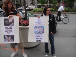 WAR-FAUN Anti-Vivisection demo @ Bristol-Myers Squibb Corporate Offices in NYC (5-28-10) (8)